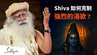 Shiva 如何克制強烈的渴欲