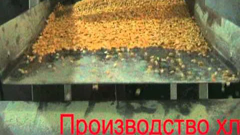 Мини производство.Линия по производству хлопьев овсянных
