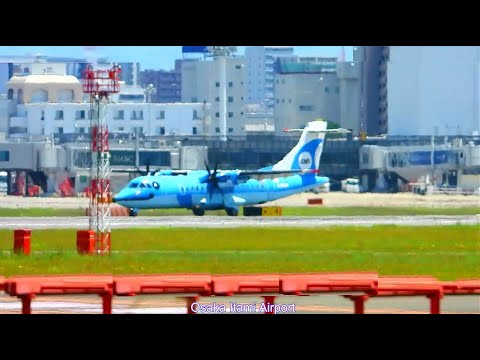 天草エアライン・みぞか号生中継!伊丹空港!! Plane Spotting Osaka Itami Airport 09/07/2025