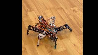 Embodied AI Robot Test (OpenAI + voice recognition + persistent memory)