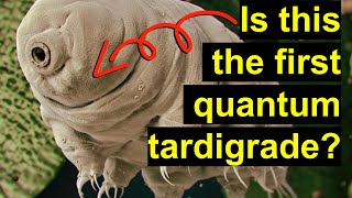 Quantum entanglement between a tardigrade and a superconducting qubit: Schrodingers cat or hype?