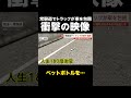 【ペットボトルを…】常磐道でトラックが車を包囲…あおり運転が始まる前の映像入手「命の危険に晒されてる!」埼玉・常磐道 #shorts