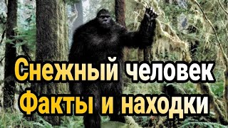 НЛО Легенды о снежном человеке Факты Документальные фильмы