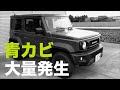 新型ジムニーシエラ、納車半年で盛大にカビる…【JB64/JB74】