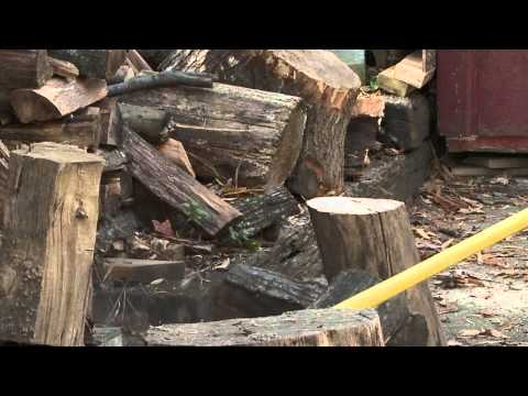Wet Wood is a Waste (1 min version) - Wet Wood is a Waste (1 min version)