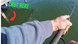 BREAM are HIDING HERE|| EXPLORING THE PORT RIVER