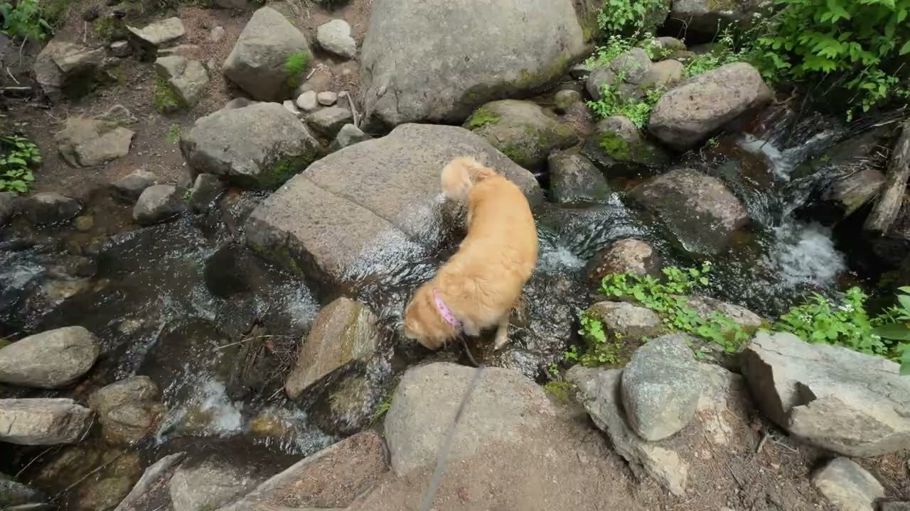 Colorado Trail Segment 10