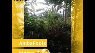 Amba Fools Hiding From The Military And Making Videos - Pure Comedy