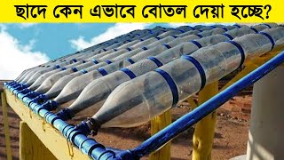 ছাদে কেন এভাবে বোতল দেয়া হচ্ছে? কারন জানলে হতভম্ব হয়ে যাবেন আপনি...