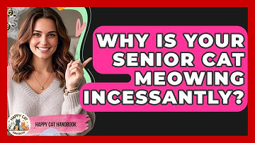 Why Is Your Senior Cat Meowing Incessantly? - Happy Cat Handbook