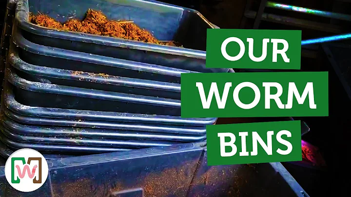 How We Set Up Our Worm Bins – Step-by-Step Vermicomposting Setup