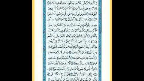 سورة النجم بصوت الشيخ علي فؤاد سلطان 