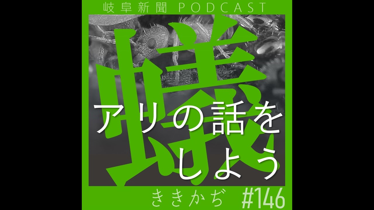 #146 蟻の話をしよう▼世界初！女王オンリーのアリの存在を立証。そのスゴさを岐阜新聞の「アリ記者」が思いっきり語ります▲