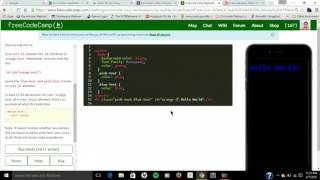 Freecodecamp Walk Thru - Override Class Declarations by Styling ID Attributes