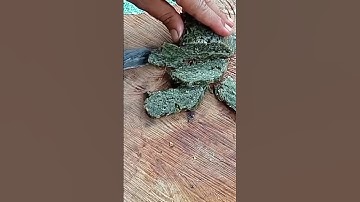 Thumbnail of dendeng daun singkong#viral#shots #masakankampung#cooking#kuliner