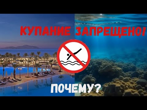 Почему нельзя купаться в Красном море ночью и после заката солнца в бассейне. Опасный Египет