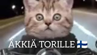 Suomivoitti.mp4
