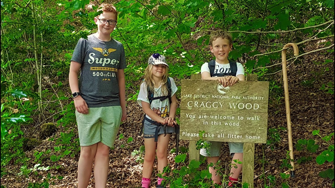 Off Around Craggy Woods in Staveley Cumbria YouTube
