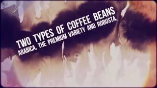Gourmet Coffee - Are You A Gourmet Coffee Lover?