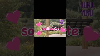 Download Lagu apa yang di maksud soulmate MP3