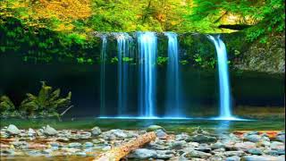 Relaxing Forest Waterfall Nature HD Motion Background for Green Screen Animated Water Relaxation BG