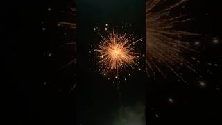 കൊണ്ടോട്ടി വരവ് 🔥#youtubeshort #SR84#kL84