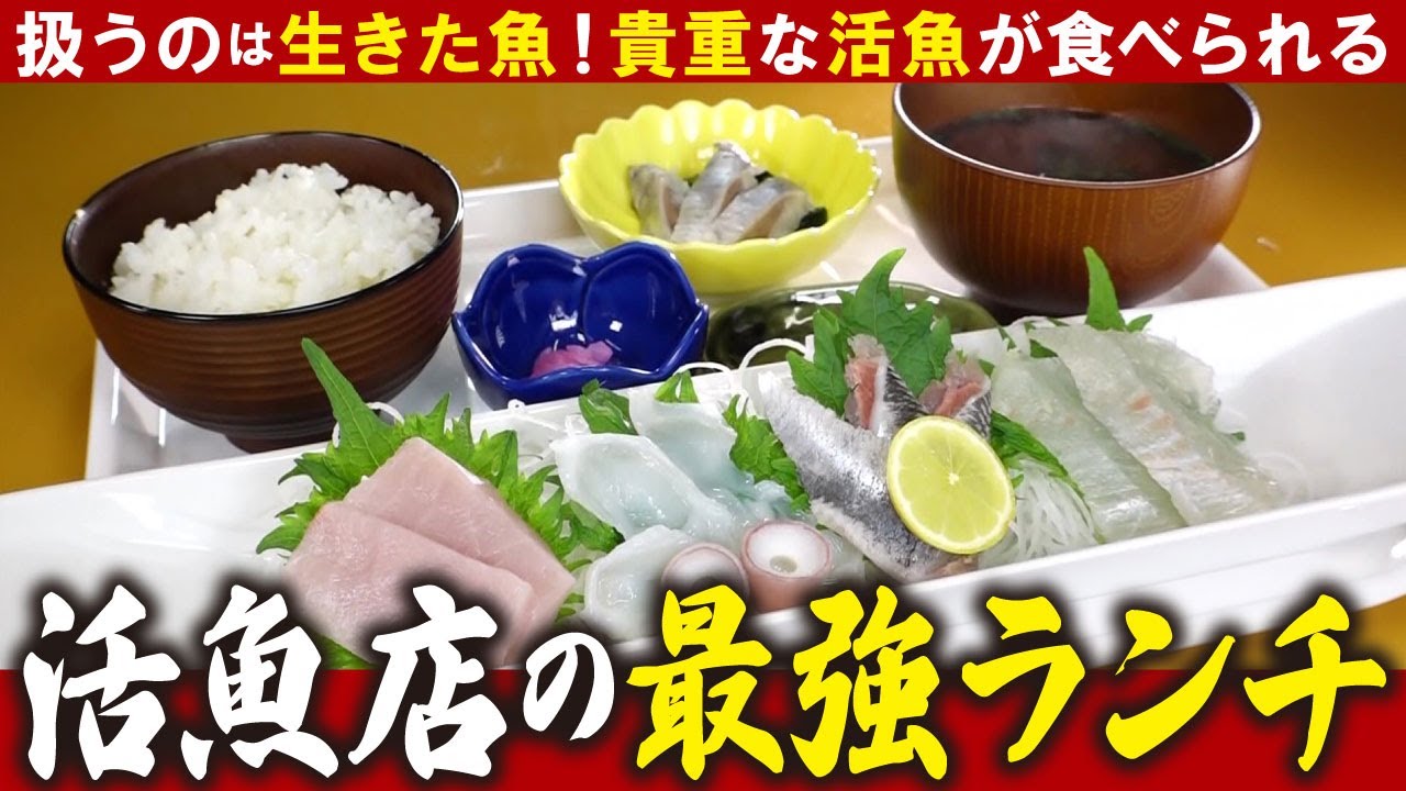【最強海鮮ランチ】魚卸のプロが倉庫で海鮮ランチをオープン！！常連客が殺到ママギャル社長の超多忙ライフに密着【愛知あたりまえ】