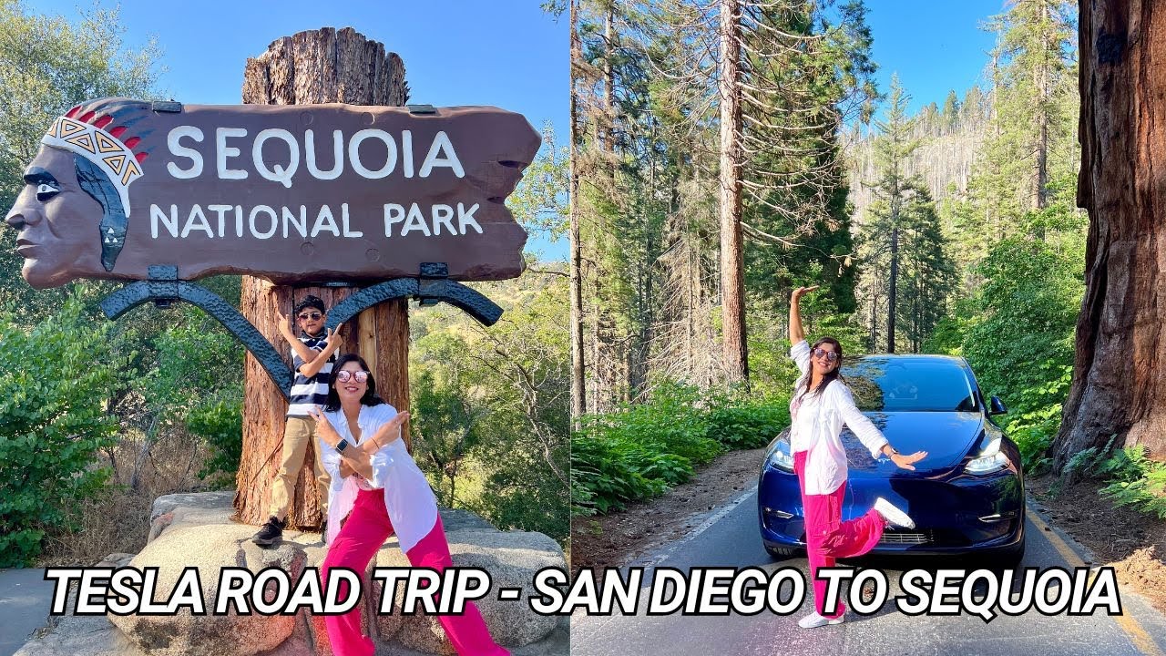 tesla-road-trip-san-diego-to-sequoia-travel-tips-and-tricks