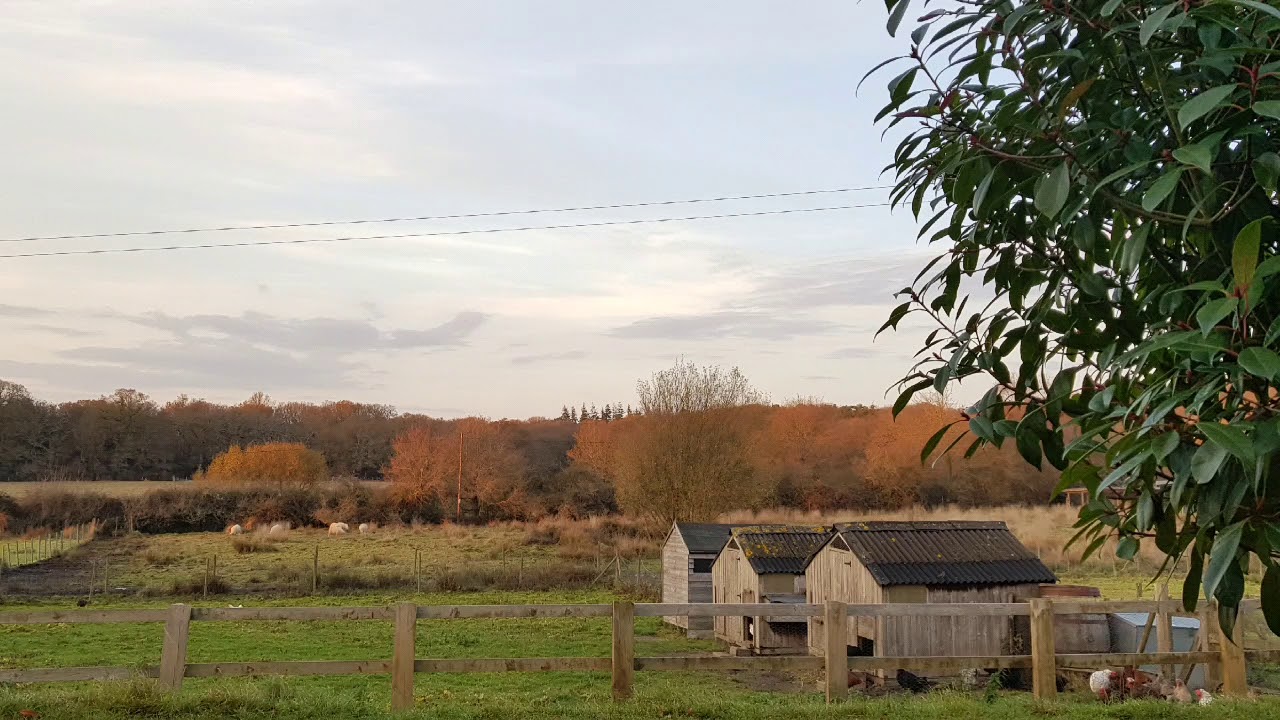 The Pig, Restaurant and Hotel, The New Forest, Brockenhurst, Hampshire
