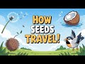How Seeds Travel Seed Dispersal For Kids