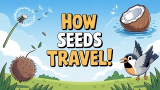 How Seeds Travel 🌱 | Seed Dispersal for Kids