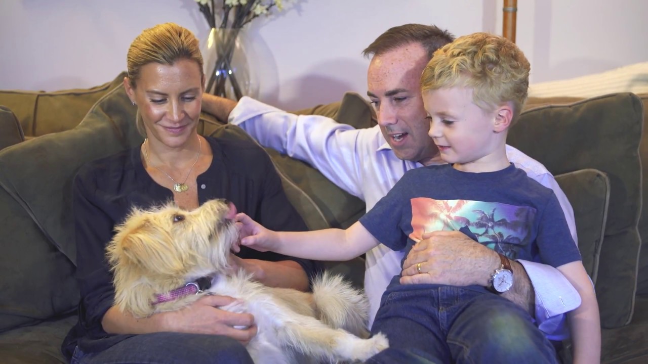 Potter League for Animals 2017 YouTube