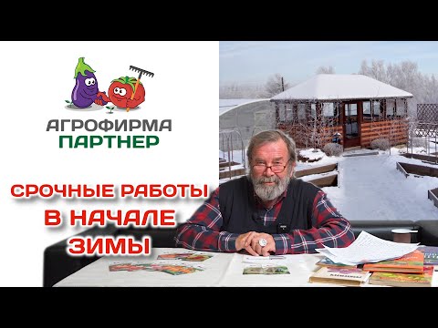 Срочные работы в начале зимы. Лекция Н. П. Фурсова от 12 ноября 2022 года.