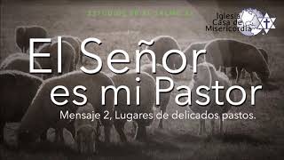 El Señor es mi Pastor, Mensaje 2, Lugares de delicados pastos, 011, 20-Ene-2019