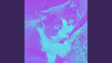 Pulsating Backdrops for Cat Lounging