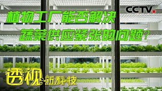 无需阳光和土壤 植物照样可以长！来看看最新的植物工厂 20220416 |《透视新科技》CCTV科教