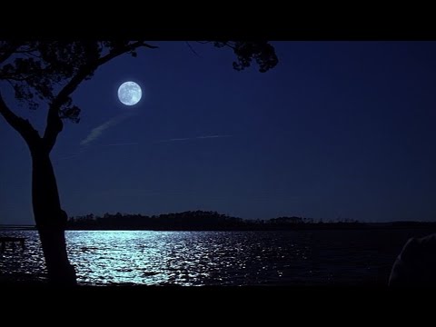 تعودنا أنا وأنت بدون موسيقى عبد العزيز الضويحي