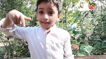 How to Make a Swan with Snake Cube | by Sami Shayaal