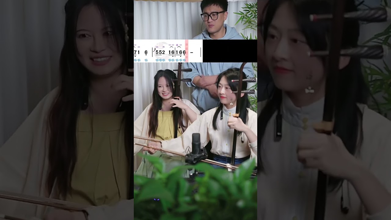 【二胡切片】女子双拉《渡情》《铁血丹心》- Erhu Duet