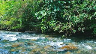Cozy Ember ASMR 🌊 Gentle River Ambience | No Talking No Music Sleep Relax