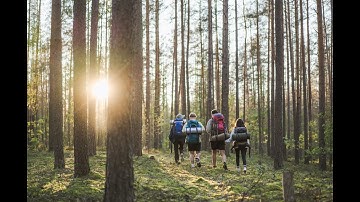 Lithuania. Co-create experiences in nature