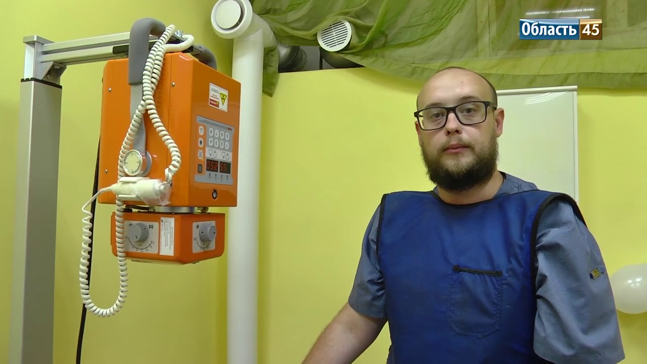 Курганские врачи будут делать рентген кошкам и собакам Эндовет - YouTube