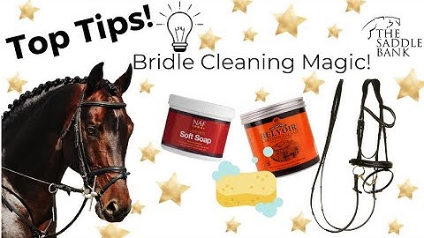 Make your bridle beautiful - Bridle Cleaning Tips!
