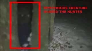 Mysterious creature frightened a hunter in the forest. Is it a humanoid or a strange creature