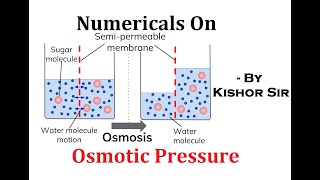 Celebrity SOLUTION & COLLIGATIVE PROPERTY || SESSION - 21 : Numericals On Osmotic Pressure. Profile