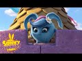 SUNNY BUNNIES - Queen of the Castle | Season 4 | Cartoons for Children