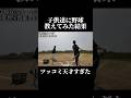 子供達に野球教えてみた結果… #野球 #バッティング #プロ野球 #甲子園 #npb