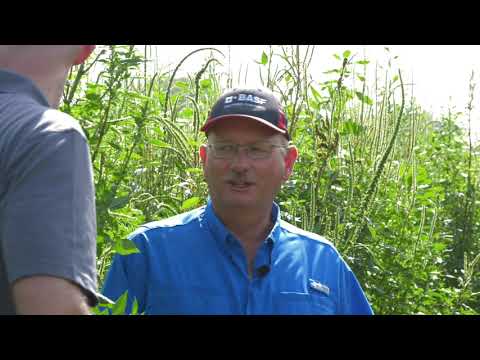 Operation Weed Eradication overview | Application Crop Tour 2020