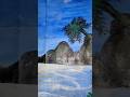 🌅🏞️ Landscape!🎨🖌️#shorts #art #painting #drawing #youtubeshorts