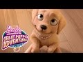 Barbie Meets Taffy | Barbie & Her Sisters in a Great Puppy Adventure | @Barbie